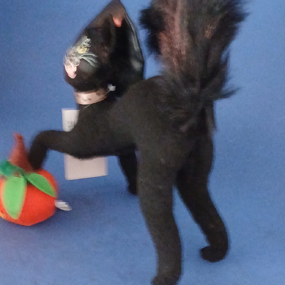 Annalee Dolls 2020 Halloween Black Cat #311320 